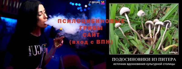 винт Бородино